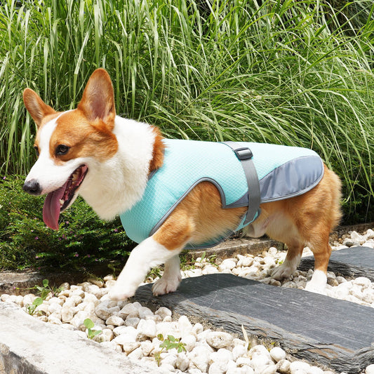 Summer Dog Cooling Harness