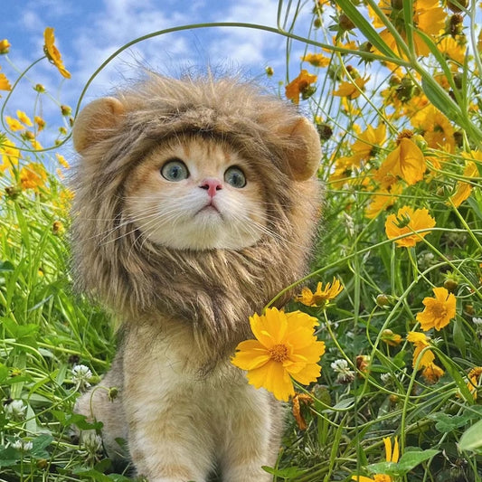 Cute Cat Lion Mane Costume